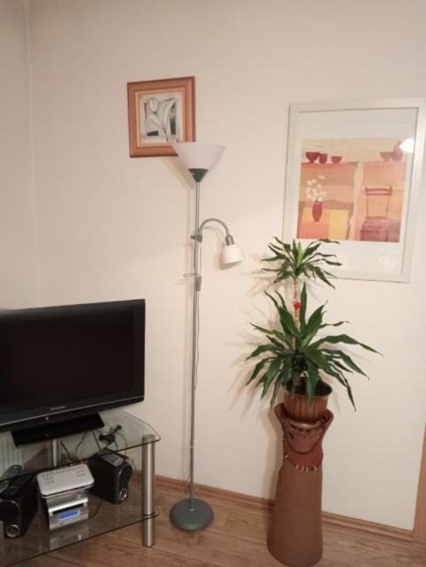 Apartament Stroma 4 Zakopane Exteriör bild